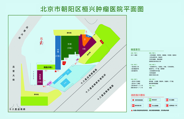 骚逼被肏死视频网站北京市朝阳区桓兴肿瘤医院平面图